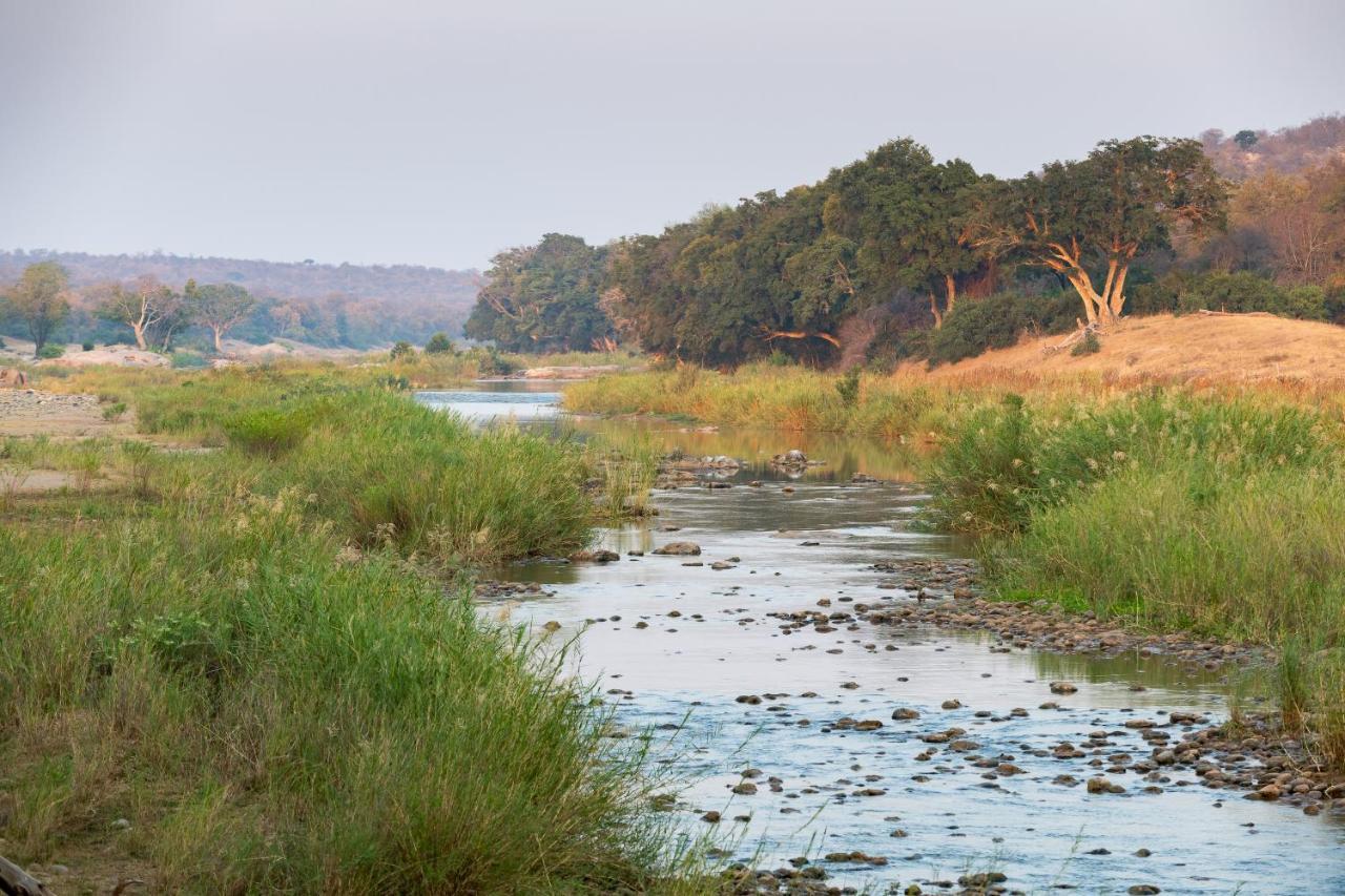 Pondoro Game Lodge Balule Game Reserve Εξωτερικό φωτογραφία