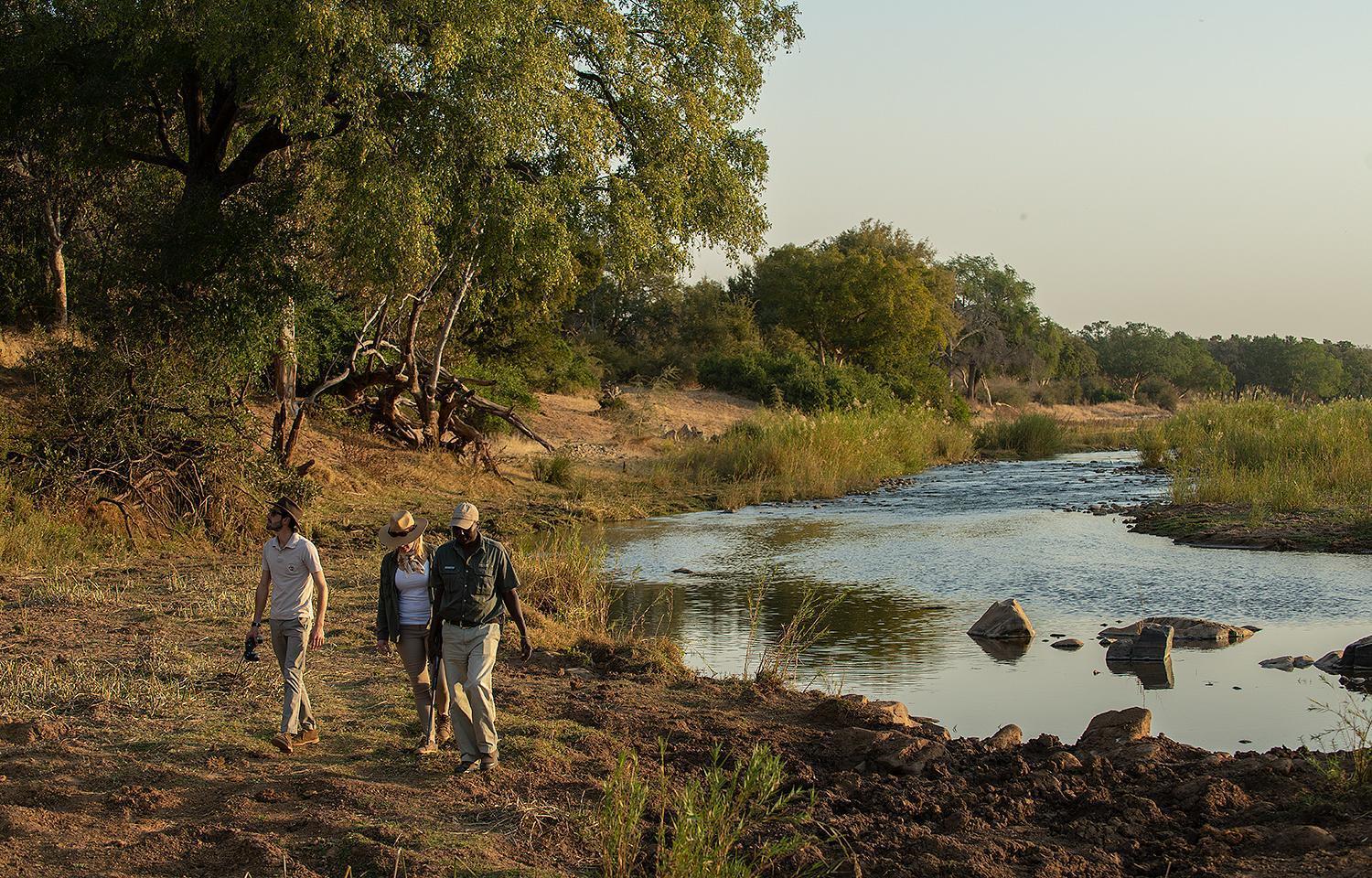 Pondoro Game Lodge Balule Game Reserve Εξωτερικό φωτογραφία